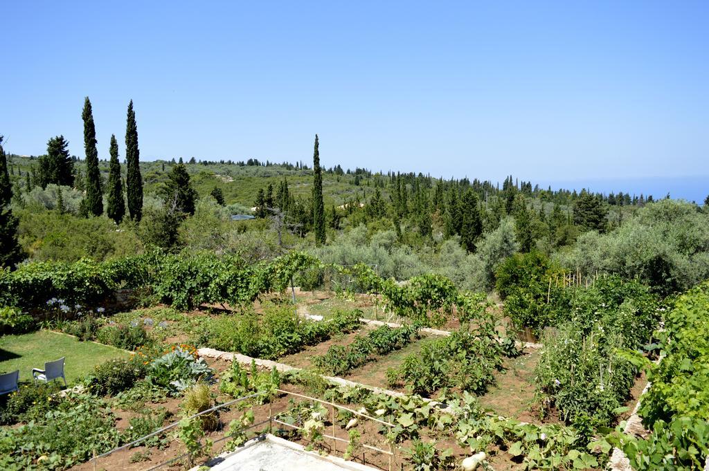 Tsoukaládhes Despoina Rooms מראה חיצוני תמונה