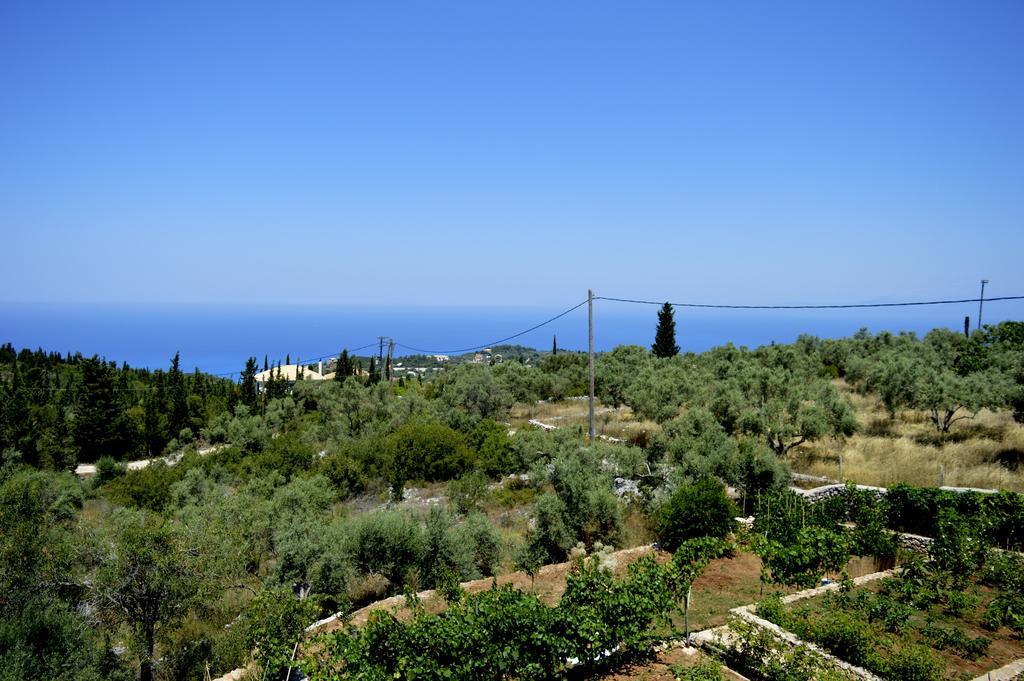 Tsoukaládhes Despoina Rooms מראה חיצוני תמונה