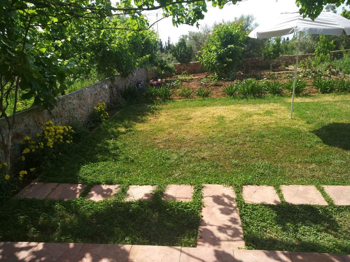 Tsoukaládhes Despoina Rooms מראה חיצוני תמונה